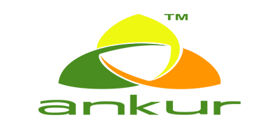 c13